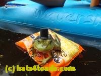 /home//u458753944/public_html/sourcegallery//////////////////Frogs/Bullfrogs 2016-08 Ontario/P8140140.JPG